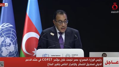 رئيس الوزراء: نؤكد دعم مصر لخروج مؤتمر COP29 بنتائج مثمرة 