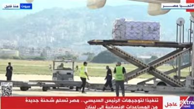 تنفيذًا لتوجيهات الرئيس السيسي.. مصر تسلم شحنة مساعدات جديدة للبنان 