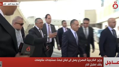 وزير الخارجية يصل لبنان رفقة شحنة مساعدات تبلغ نحو 22 طنًا.. فيديو