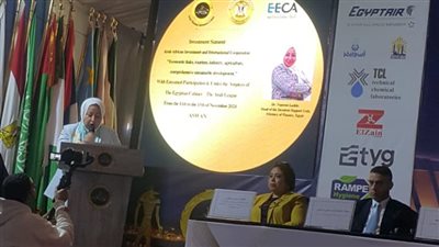 رئيس وحدة دعم المستثمرين: 19,8 مليار جنيه استثمارات العقود مع القطاع الخاص