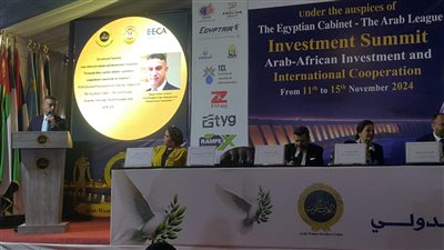 نائب رئيس هيئة مستثمري المناطق الحرة: الأردن رمز للتنوع والابتكار 