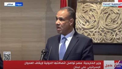 وزير الخارجية: نبيه بري يقود السفينة اللبنانية إلى بر الأمان