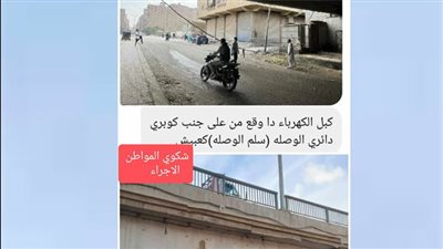 280 طن من المخلفات.. الجيزة تستجيب لشكاوي المواطنين