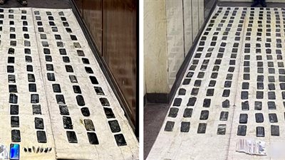   الأمكن العام يضبط تاجر مخدرات بحشيش وأفيون بالإسكندرية