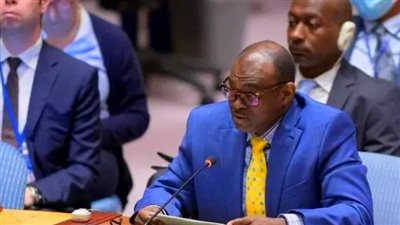 الدعم السريع يستخدم معبر أدري لإدخال الأسلحة إلى السودان