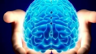 المكسرات تعزز صحة الدماغ .. دراسة تكشف السبب