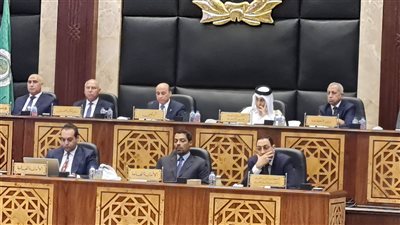 اجتماع وزراء العرب.. موقف مصر يدعم قضية فلسطين ويعزز الربط العربي في النقل