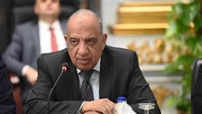 وزير الكهرباء: القطاع الخاص يعد شريكا رئيسيا في مشروعات الطاقة المتجددة