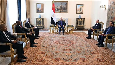 السيسي يستقبل وزير العلاقات الدولية والتعاون الدولي بجنوب أفريقيا