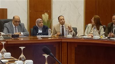 الاتحاد النوعى الخاص بالصحة الإنجابية ينظم دورة عن خطورة تزويج الأطفال