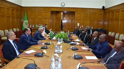 أبو الغيط يستقبل وزير خارجية جنوب أفريقيا تأكيدًا على استمرار وتعزيز التواصل بين الجامعة وجنوب أفريقيا 