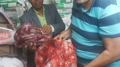  ضبط أكثر من 3 طن لحوم مجمدة وأغذية متنوعة فاسدة بالدقهلية