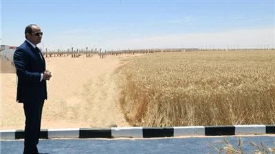 أستاذ اقتصاد: مصر حققت ثورة إصلاحية كبرى عززت إنجاح الاستثمارات