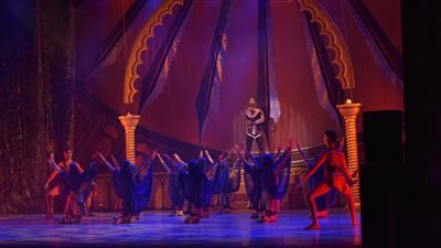 تفاصيل حفل باليه 