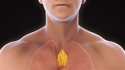 دراسة: استئصال الغدة الزعترية يزيد خطر الإصابة بالسرطان 
