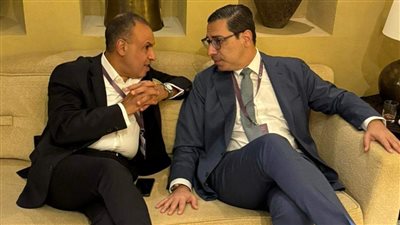 تفاصيل لقاء وزير الخارجية مع نظيره القبرصى