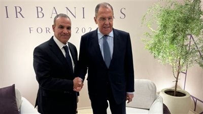 وزير الخارجية يبحث مع نظيره الروسي تطورات المشروعات المشتركة بين البلدين