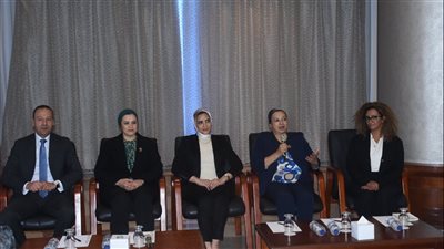 الإسكندرية تشهد ورشة عمل حول نظام التنسيق فى جرائم العنف ضد المراة