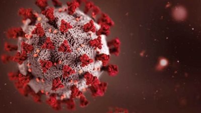 زيادة حالات الإصابة بفيروس نوروفيروس كاواساكي في المملكة المتحدة