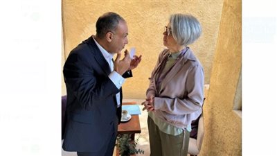 وزير الخارجية يلتقي مبعوثة الاتحاد الأوروبي للقرن الأفريقي