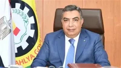 الدقهلية: تكثيف أعمدة الإنارة وعمل مطبات صناعية بطريق المطرية بورسعيد 