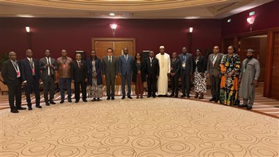   نائب رئيس الوزراء يشارك في المائدة المستديرة الوزارية رفيعة المستوى للـ«Africa CDC»