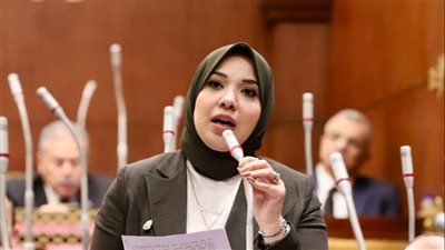 النائبة دينا هلالي: عودة قلعة النصر تعني إحياء صناعة السيارات لريادتها 