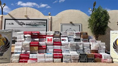 قوات حرس الحدود تكثف جهودها على كافة الاتجاهات الاستراتيجية للدولة  