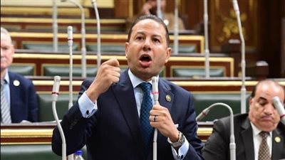 النائب حسن عمار: الاقتصاد المصري قدم نموذجاً قوياً للصمود والتكيف