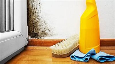 للوقاية من أمراض خطيرة.. خطوات بسيطة للتخلص من العفن المنزلي في الشتاء
