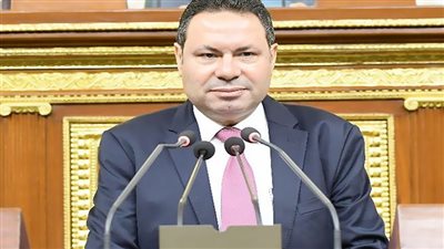 رئيس زراعة النواب: نستهدف التوازن بين صناعة الدواجن والمستهلك