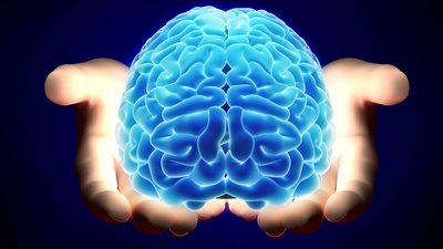 دراسة تكشف وجه الاختلاف بين دماغ الرجل والمرأة.. أيهما أكثر عقلانية؟