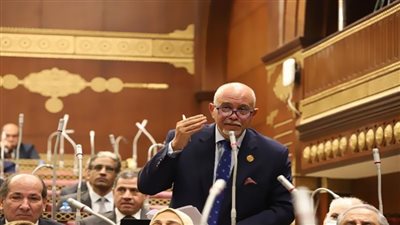 النائب حازم الجندي: مشروع قانون لجوء الأجانب يعكس التزام مصر بحقوق الإنسان