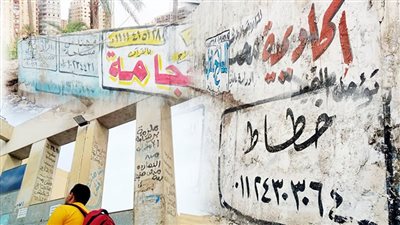 التشوه‭ ‬البصرى‭.. ‬جريمة‭ ‬فى‭ ‬حق‭ ‬مصر