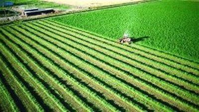 الدولة المصرية تُكثف جهودها في استصلاح الأراضي الصحراوية وزيادة الرقعة الزراعية