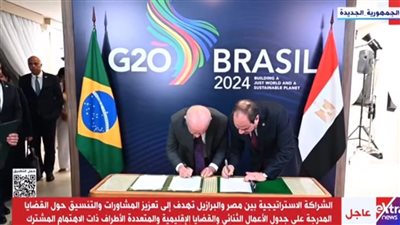 الشراكة الاستراتيجية بين مصر والبرازيل تهدف لتعزيز المشاورات والتنسيق