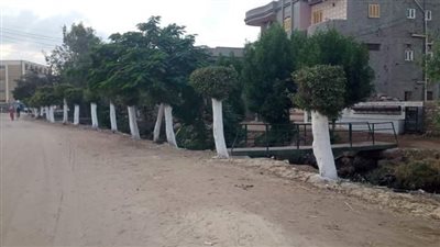 خدمات متكاملة لتطوير قرى مركز المحلة الكبرى 