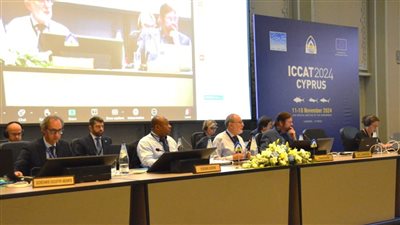 تنمية البحيرات: حصول مصر على حصة من أسماك أبو سيف بالبحر المتوسط إنجاز غير مسبوق