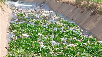 تطهير ورفع المخلفات بالترع والمجاري المائية بالمنوفية 