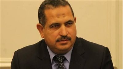 الشافعي عن انضمام مصر للتحالف العالمي لمكافحة الفقر والجوع: خطوة مهمة للغاية 