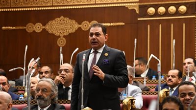 النائب فرج فتحي: مشاركة مصر في قمة العشرين يعزز صوت الدول الأفريقية والنامية دوليا