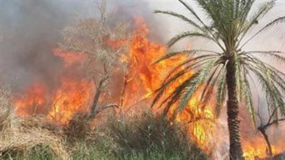 السيطرة على حريق نشب في مزرعة دواجن