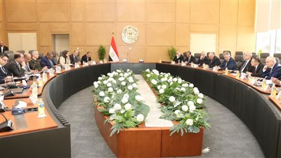 وزير الكهرباء يجتمع والمدير التنفيذي لهيئة الدولة للطاقة النووية الروسية 