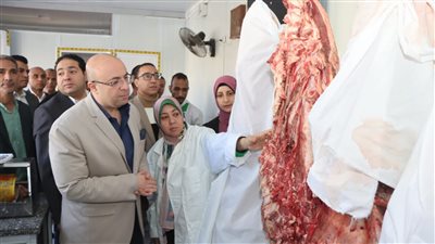 محافظ بني سويف يتفقد منفذ بيع اللحوم والدواجن وبيض المائدة بأسعار مخفضة 