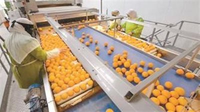 الظروف المناخية المواتية تدفع مصر لزيادة صادراتها الزراعية