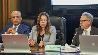 وزيرة التنمية المحلية تستعرض جهود الوزارة في تقنين واسترداد أراضي الدولة