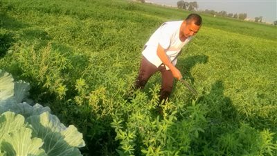 زكريا فلاح الدقهلية البسيط يحلم بوا قع أفضل