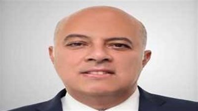 بعد تعيينه متحدثًا رسميًا لرئاسة الجمهورية.. من هو السفير محمد الشناوي؟