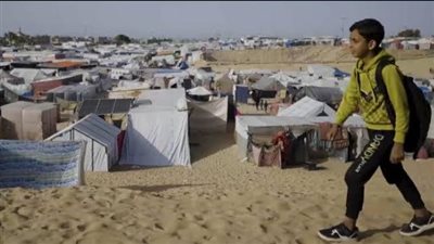 بين سطور فلسطين.. إعادة عرض برنامج 