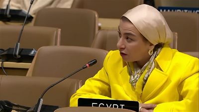 وزيرة البيئة تشارك في جلسة الرئاسة الأذربيجانية لمؤتمر المناخ COP29 للتقييم